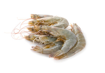 Raw shrimps isolate on white background