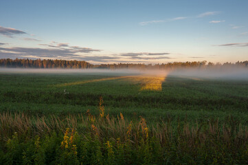Fototapeta na wymiar Autumn September landscape in the field in the early morning