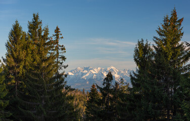 beautiful view of the snow-capped mountains from the spring meadows covered with flowers and grass