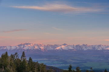 beautiful view of the snow-capped mountains from the spring meadows covered with flowers and grass