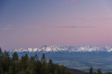 beautiful view of the snow-capped mountains from the spring meadows covered with flowers and grass