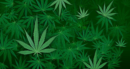 Naklejka na ściany i meble Background for design with cannabis leaves