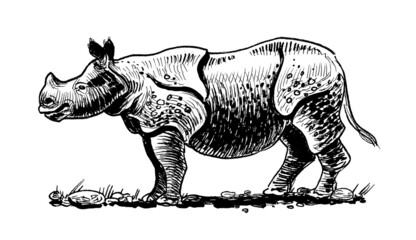 Big rhinoceros animal. Ink black and white drawing