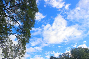 sky and clouds