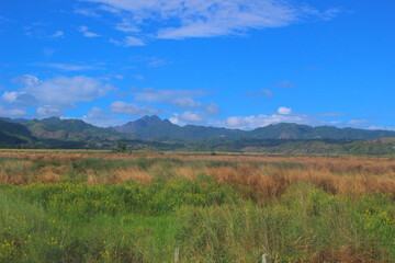 landscape in the mountains