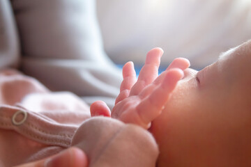 Close up of tiny newborn baby's fingers. 