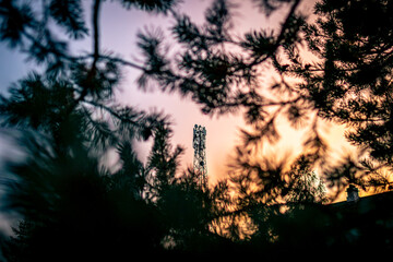 the sunset is pink in the autumn sky