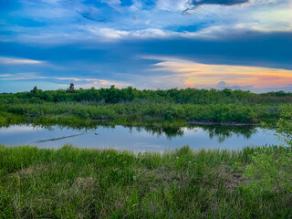 Fototapeta na wymiar sun setting in the marsh of the bayou