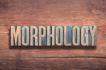 morphology word wood - obrazy, fototapety, plakaty