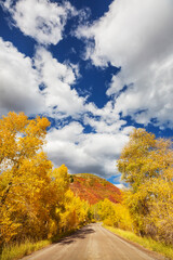 Naklejka premium Autumn road