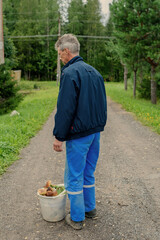 Time to collect mushrooms. A man with a white bucket of mushrooms in the autumn forest.