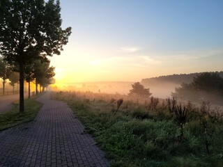 sunrise in the fog