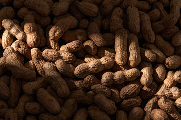 Raw unpeeled peanuts background. Peanuts in pile texture.