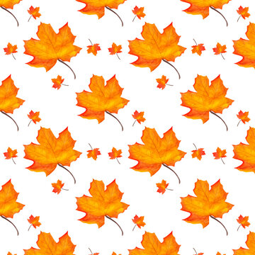 Maple leaves seamless watercolor pattern. Ideal for printing on textiles and wrapping paper.