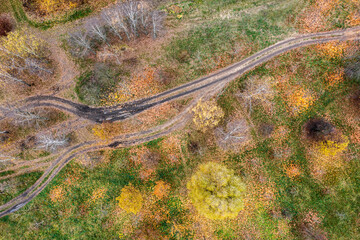 winding dirt road in countryside. trees with colorful foliage along road. aerial top view. - Powered by Adobe
