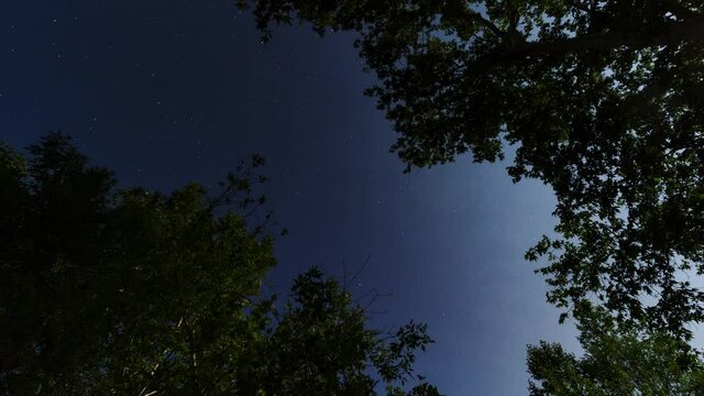 Beautiful night sky 4k time-lapse of the stars through trees near a riverbed in Oak Creek Arizona August 2020