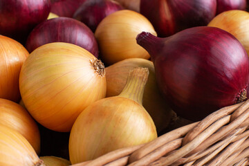Background from red and yellow onions. Healthy vegetable, copy space, macro