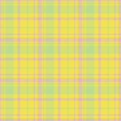 Plaid seamless pattern. Vector background of textile ornament. Flat fabric design.