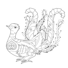 Contour linear illustration for coloring book with decorative pretty lyrebird. Beautiful cute bird,  anti stress picture. Line art design for adult or kids  in zen-tangle style, tatoo and coloring pag