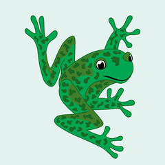 Green frog isolated, cartoon style, flat design, vector illustration.