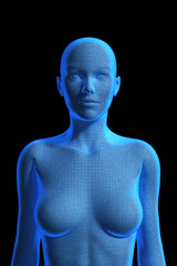 Woman, Body of Human Female, 3D, Upper Torso - 458181806