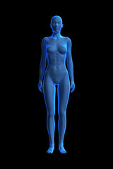 Woman, Body of Human Female, 3D - 458181838