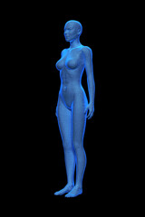Woman, Body of Human Female, 3D