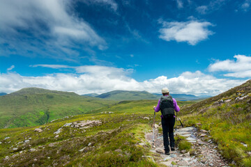 Along the West Highland Way. A lonely hiker walks on the hiking path in the highland moor - 458183268