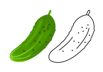 Cucumber color cartoon illustration and outline. Vector green vegetable icon.