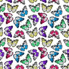 Fototapeta premium Butterfly Seamless Pattern Isolated on White Background
