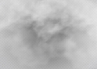 Fog or smoke isolated transparent special effect. White vector cloudiness, mist or smog background.