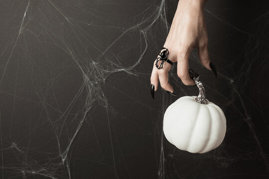 Happy Halloween holiday concept. Hand with long black nails and spider ring holds white pumpkin on black background with cobwebs