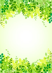 植物のフレーム