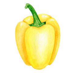 Yellow bell pepper. Watercolor hand drawn food illustration. Isolated clipart element on white background