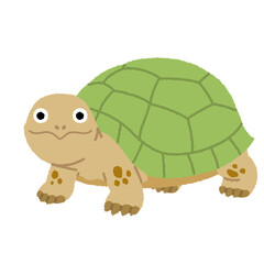 カメのイラスト