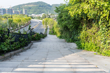 Green Park in a modern city. Exercise and relaxation.
