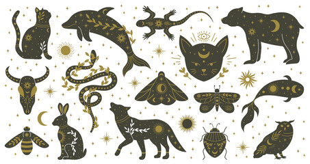 Mystic boho witchcraft hand drawn animals and moths insects. Witchcraft magical dolphin, bear, lizard, snake and moth vector illustration set. Mythological wildlife animals