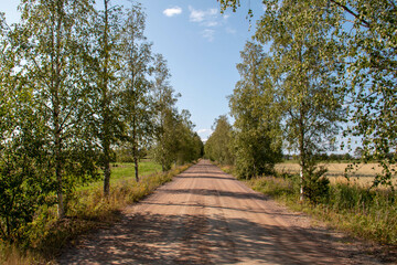 empty gravel road in the countryside in summer