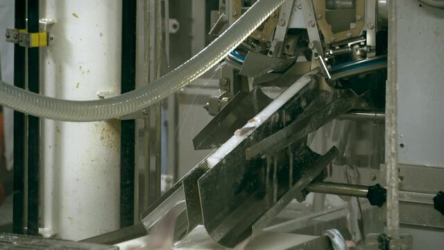 Fish factory. Fresh fish is cut on an automatic machine at the ship's factory. Cutting the carcass of freshly caught pollock fish.