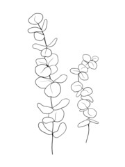 Floral drawing line art on white color background