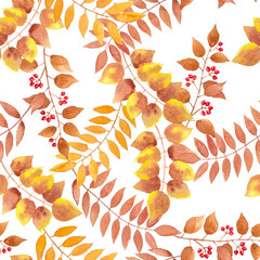 Yellow, brown autumn leaves, berry fruit seamless repeated pattern on white