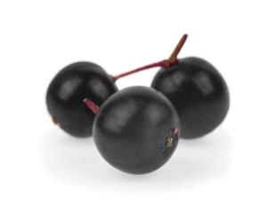 Elderberry or elderberry (Sambucus) isolated on white background.