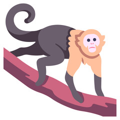 capuchin icon