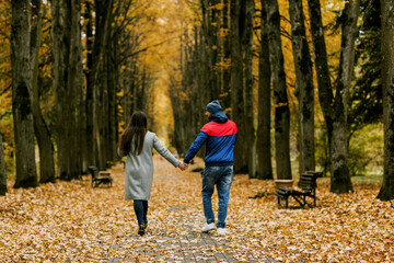 A guy and a girl are walking along the alley of the park in autumn. A romantic date, a walk, family time. Rear view, space for text