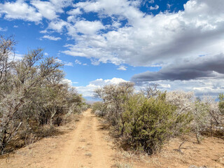 Karoo, South Africa