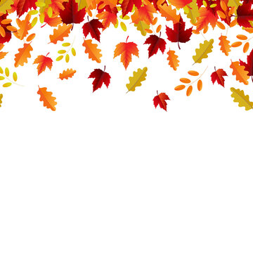 Autumn Border And Autumn Leaves With Gradient Background, Vector Illustration