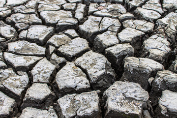 The dry ground was split into lumps.
