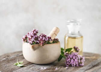Fresh blooming oregano twigs in the ceramic mortar and a bottle of oil. Herb flowers, leaves used in the food season and in herbal medicine. Copy space. - obrazy, fototapety, plakaty