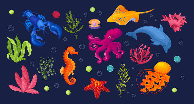 Sea and ocean underwater animals with marine flora. Seahorse, stingray, lobster, octopus, starfish, jellyfish, dolphin. Sea plant coral reef, underwater seaweed, algae, laminaria