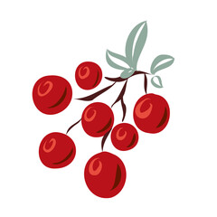 Twig with red berries for design.